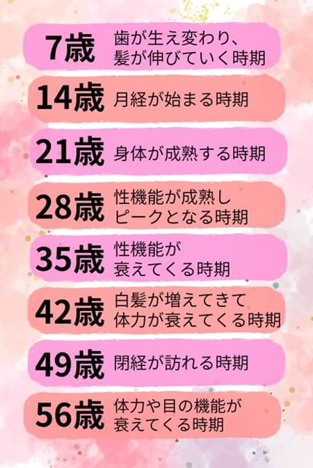 7の倍数で起こる女性の身体の変化