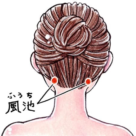 ツボ：風池